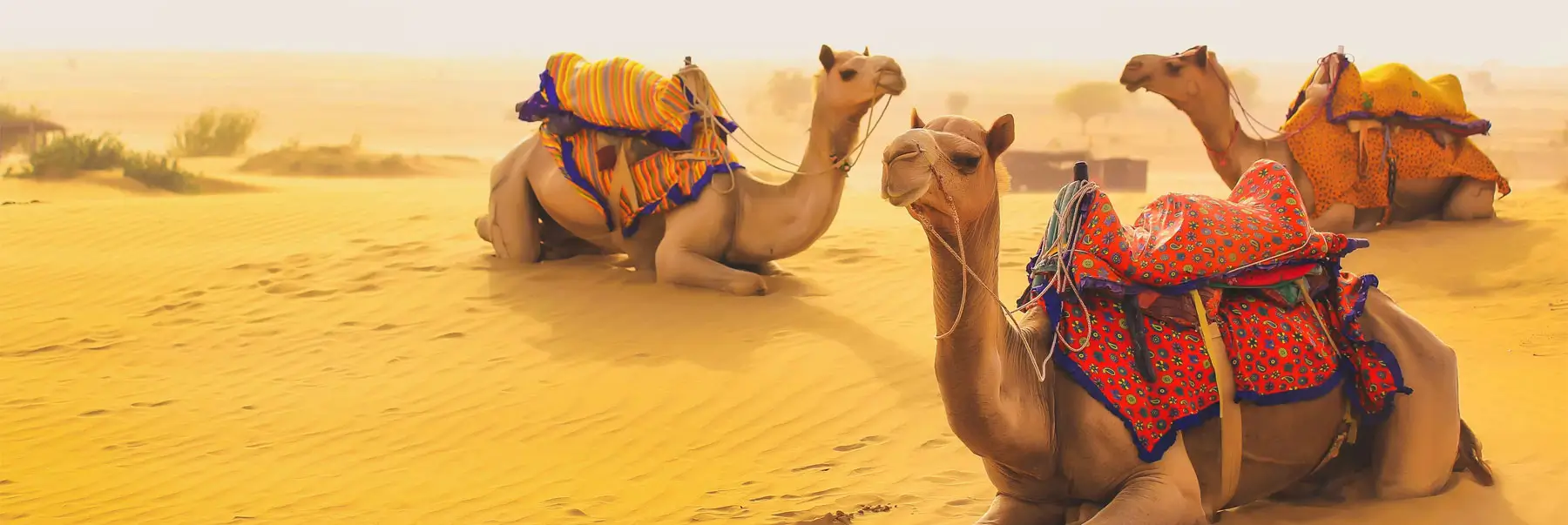 Desert Triangle Rajasthan Tour