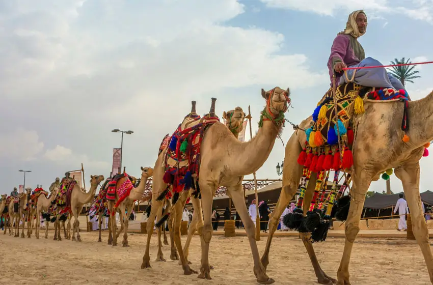 Jaipur Bikaner Desert Weekend