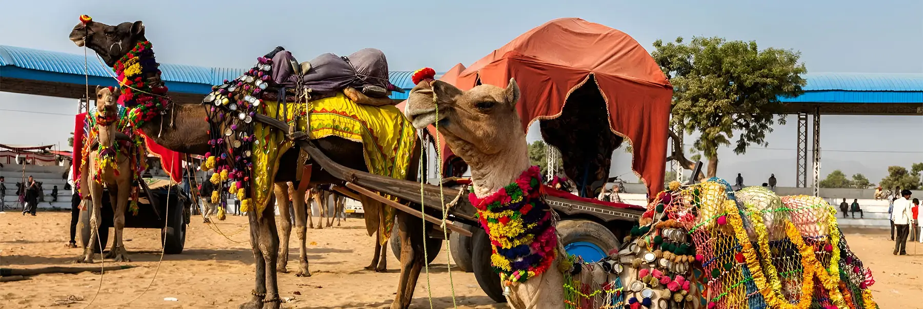 Jaipur Ajmer Pushkar Tour